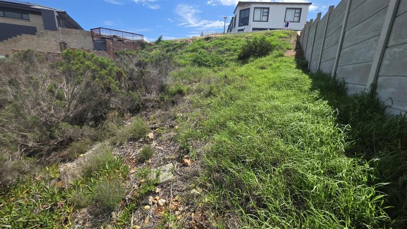 0 Bedroom Property for Sale in Seemeeu Park Western Cape